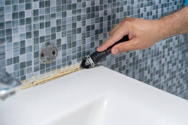 Best Black Mold Remediation in Social Circle, GA
